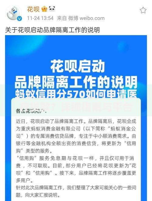 蚂蚁信用分570如何申请医疗贷款？详细指南与平台推荐