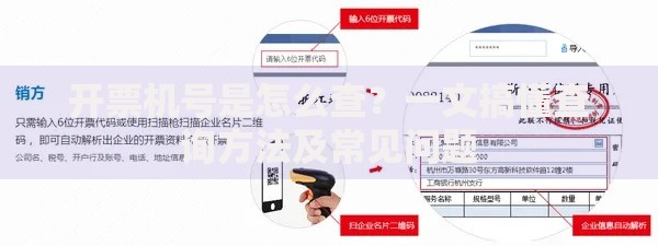 开票机号是怎么查？一文搞懂查询方法及常见问题