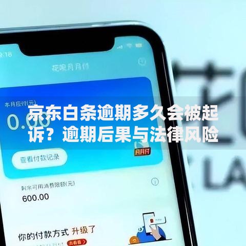 京东白条逾期多久会被起诉？逾期后果与法律风险解析