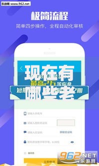 现在有哪些老口子下款？最新稳定渠道深度解析