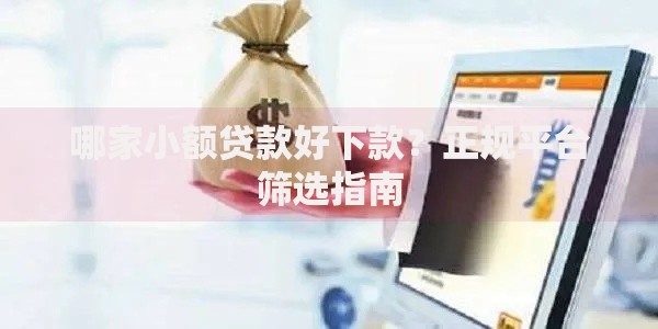 哪家小额贷款好下款？正规平台筛选指南