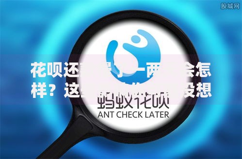 花呗还款慢了一两天会怎样？这些影响你可能没想到