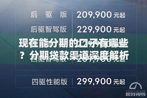 现在能分期的口子有哪些？分期贷款渠道深度解析