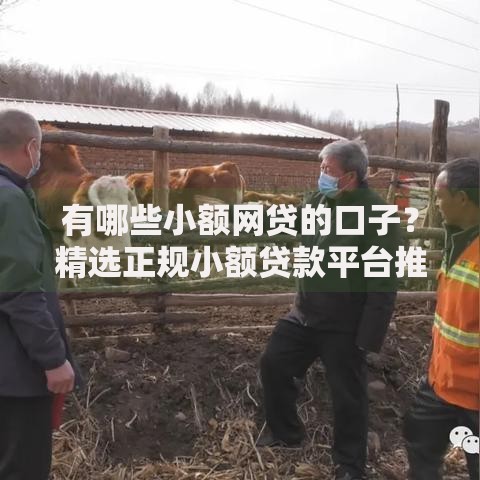 有哪些小额网贷的口子？精选正规小额贷款平台推荐