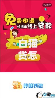 白猫贷怎么样有坑么,整合5款18岁贷款平台