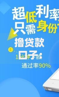 撸贷款口子：如何选择低风险正规借贷渠道？