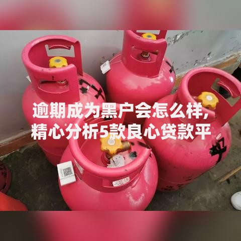 逾期成为黑户会怎么样,精心分析5款良心贷款平台