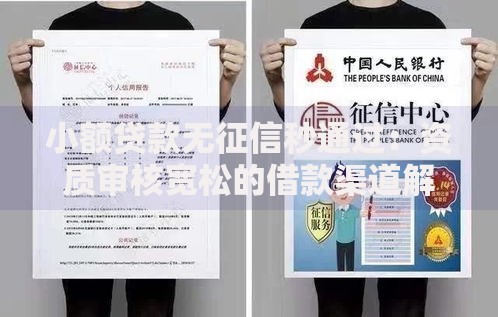 小额贷款无征信秒通过：资质审核宽松的借款渠道解析