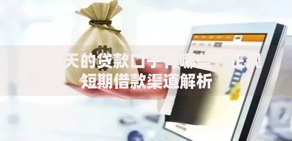 十四天的贷款口子有哪些？正规短期借款渠道解析