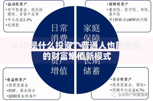 BSD是什么投资？普通人也能搞懂的财富增值新模式