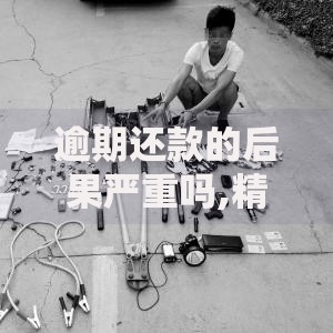 逾期还款的后果严重吗,精心分析5款贷款平台好贷款