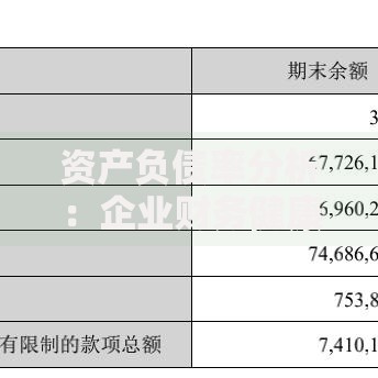 资产负债率分析：企业财务健康的关键指标与实用解读