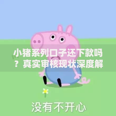小猪系列口子还下款吗？真实审核现状深度解析