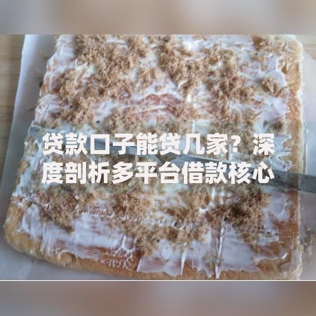 贷款口子能贷几家？深度剖析多平台借款核心规则