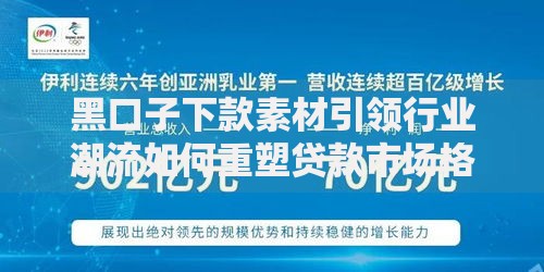 黑口子下款素材引领行业潮流如何重塑贷款市场格局