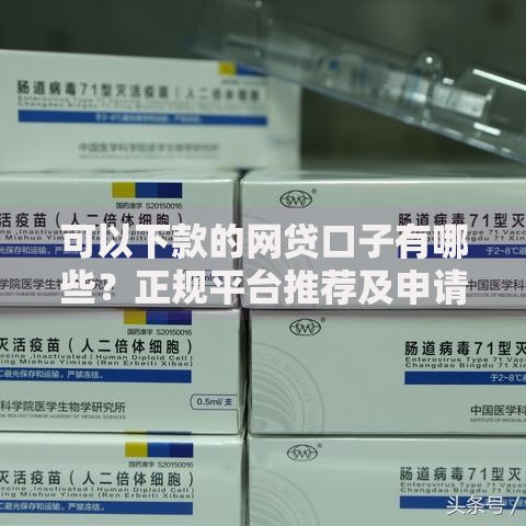 可以下款的网贷口子有哪些？正规平台推荐及申请攻略
