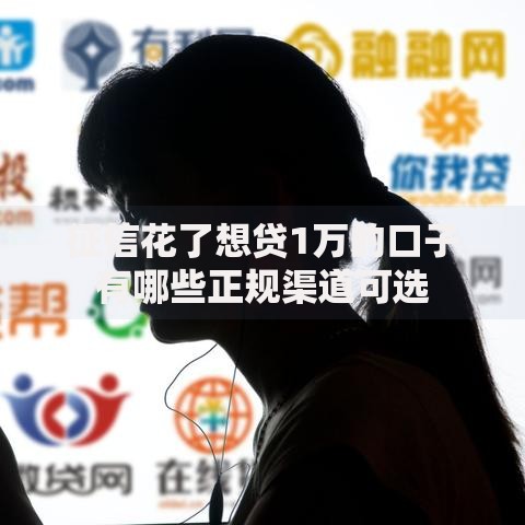 征信花了想贷1万的口子有哪些正规渠道可选