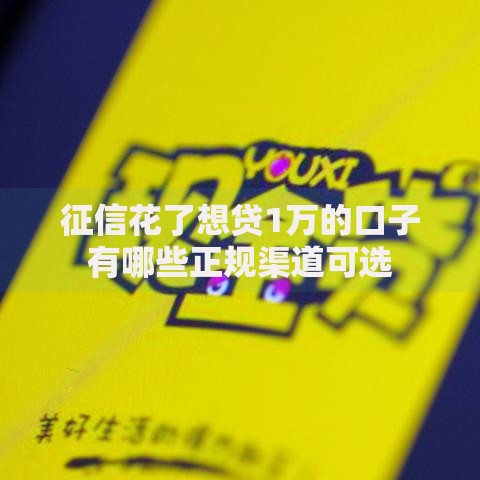 征信花了想贷1万的口子有哪些正规渠道可选