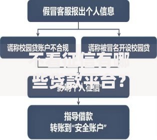 不看征信有哪些贷款平台？深度解析非征信贷款渠道