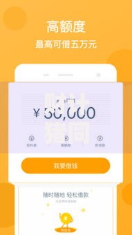 财计猪同系列的贷款口子有哪些选择与申请策略
