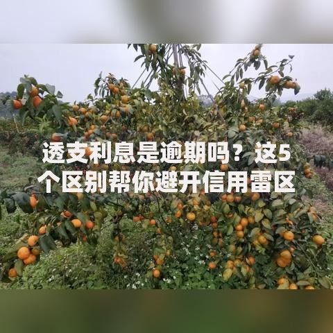 透支利息是逾期吗？这5个区别帮你避开信用雷区