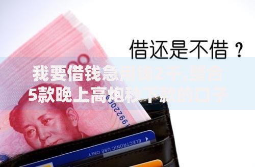 我要借钱急用钱2千,整合5款晚上高炮秒下款的口子