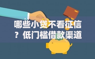 哪些小贷不看征信？低门槛借款渠道一览