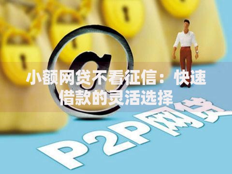 小额网贷不看征信：快速借款的灵活选择