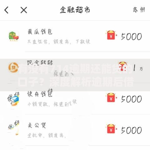 有没有714逾期还能贷的口子？深度解析逾期后借款渠道