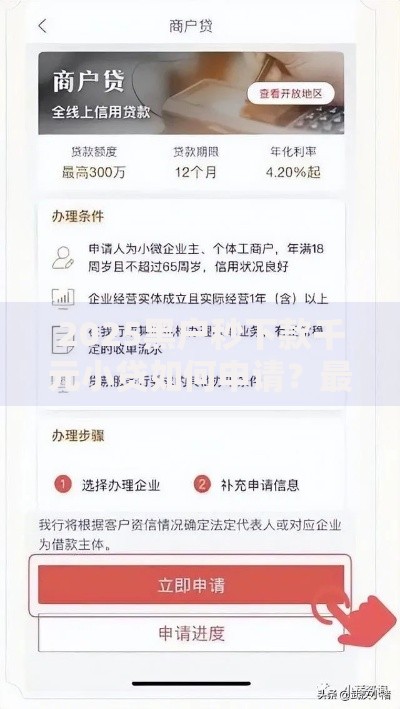 2025黑户秒下款千元小贷如何申请？最新攻略解析！