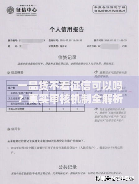 一品贷不看征信可以吗？真实审核机制全解析