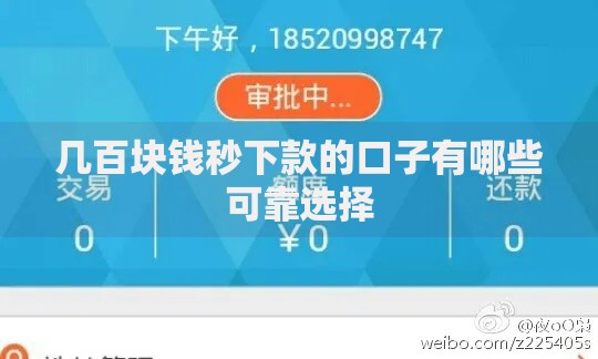 几百块钱秒下款的口子有哪些可靠选择