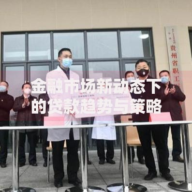 金融市场新动态下的贷款趋势与策略解析