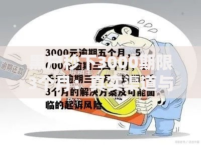黑户秒下3000期限3个月：真实渠道与风险防范全解析