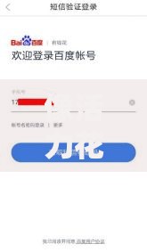 像活力花贷款口子有哪些？精选平台推荐与申请攻略