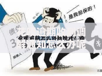 花呗逾期收到调解通知怎么办呢？协商流程与法律风险解析