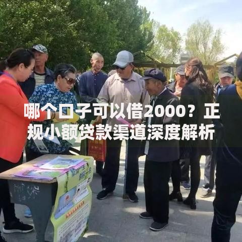 哪个口子可以借2000？正规小额贷款渠道深度解析