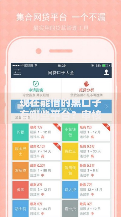 现在能借的黑口子有哪些平台？审核条件全解析
