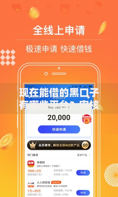 现在能借的黑口子有哪些平台？审核条件全解析