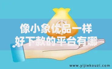 像小象优品一样好下款的平台有哪些？深度解析低门槛借贷渠道