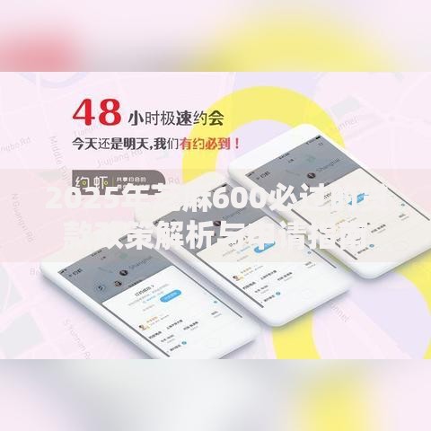 2025年芝麻600必过的贷款政策解析与申请指南