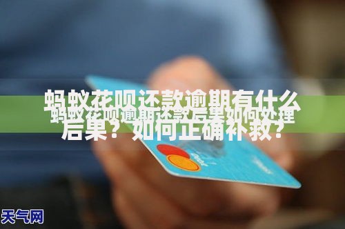 蚂蚁花呗还款逾期有什么后果？如何正确补救？