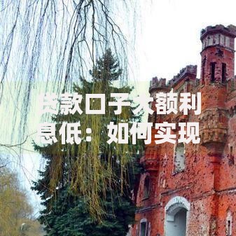 贷款口子大额利息低：如何实现低息大额资金周转？