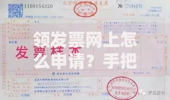 领发票网上怎么申请？手把手教你快速搞定全流程
