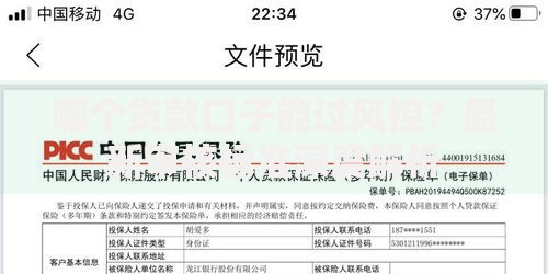 哪个贷款口子能过风控?最新审核标准深度解析 哪个贷款口子能过风控?最新审核标准深度解析