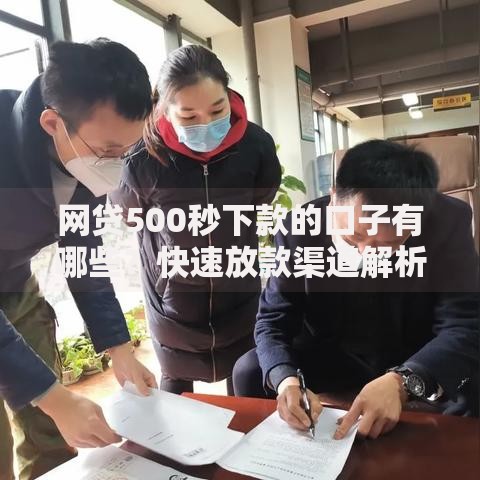 网贷500秒下款的口子有哪些？快速放款渠道解析