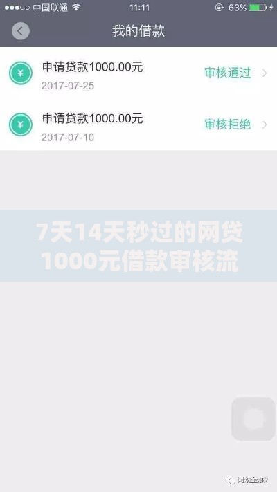 7天14天秒过的网贷1000元借款审核流程与风险解析