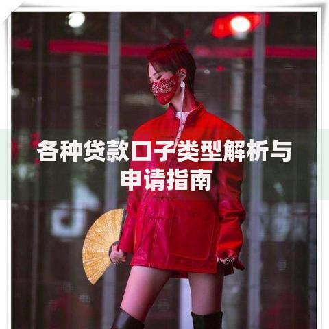 各种贷款口子类型解析与申请指南