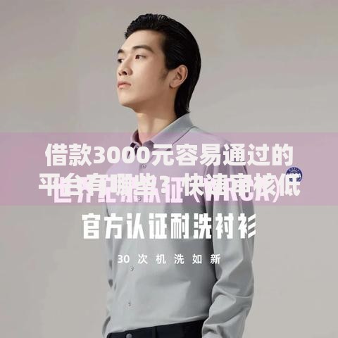 借款3000元容易通过的平台有哪些？快速审核低门槛推荐