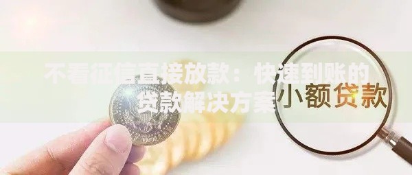 不看征信直接放款：快速到账的贷款解决方案